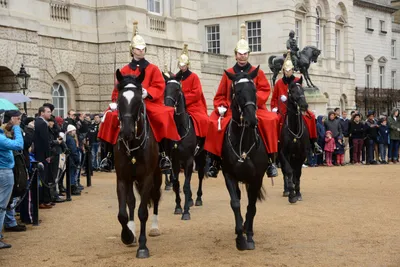 DSC_5603 (Large).JPG